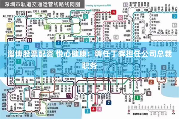 淄博股票配资 悦心健康：聘任丁晖担任公司总裁职务