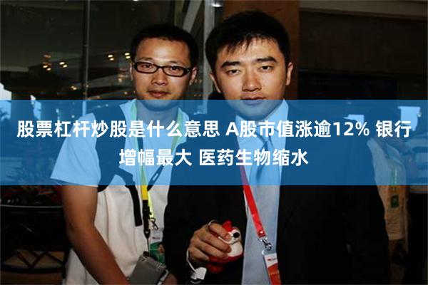 股票杠杆炒股是什么意思 A股市值涨逾12% 银行增幅最大 医药生物缩水