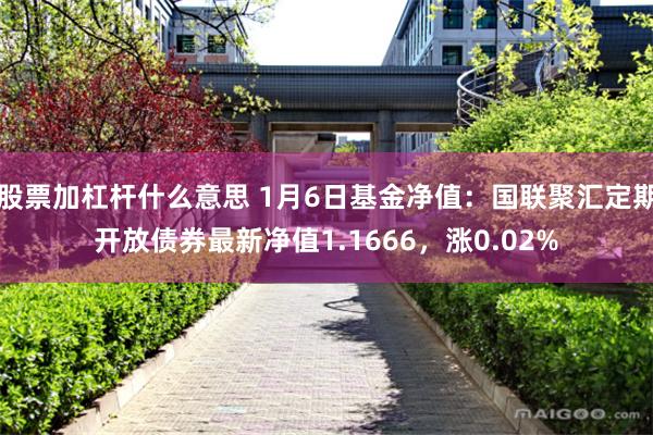 股票加杠杆什么意思 1月6日基金净值：国联聚汇定期开放债券最新净值1.1666，涨0.02%