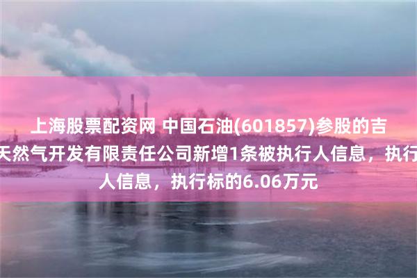 上海股票配资网 中国石油(601857)参股的吉林省吉原石油天然气开发有限责任公司新增1条被执行人信息，执行标的6.06万元