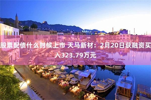 股票配债什么时候上市 天马新材：2月20日获融资买入323.79万元