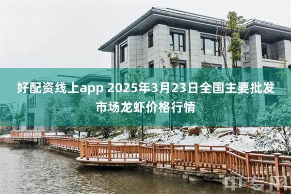 好配资线上app 2025年3月23日全国主要批发市场龙虾价格行情