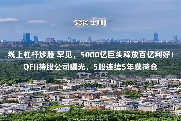 线上杠杆炒股 罕见，5000亿巨头释放百亿利好！QFII持股公司曝光，5股连续5年获持仓