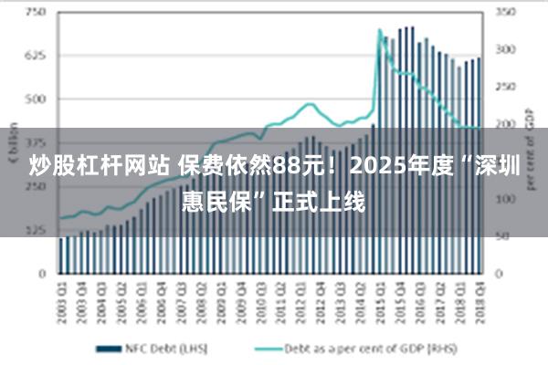 炒股杠杆网站 保费依然88元！2025年度“深圳惠民保”正式上线