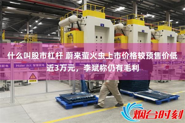 什么叫股市杠杆 蔚来萤火虫上市价格较预售价低近3万元，李斌称仍有毛利
