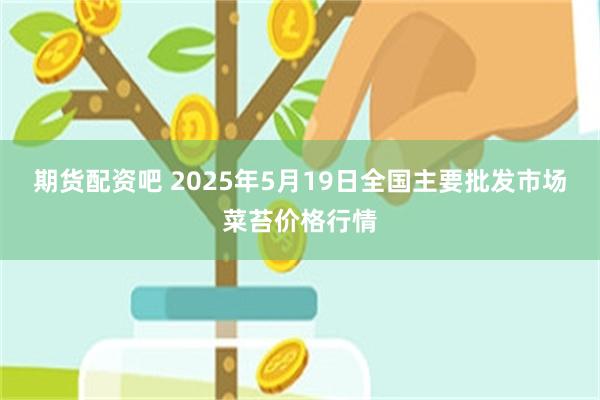 期货配资吧 2025年5月19日全国主要批发市场菜苔价格行情