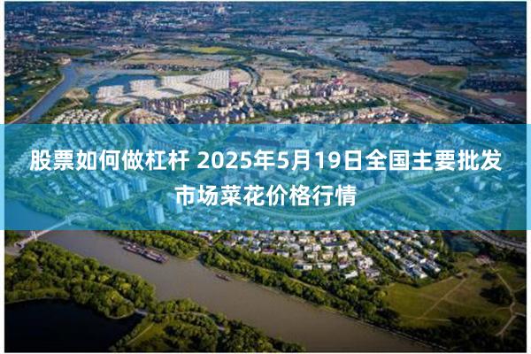 股票如何做杠杆 2025年5月19日全国主要批发市场菜花价格行情