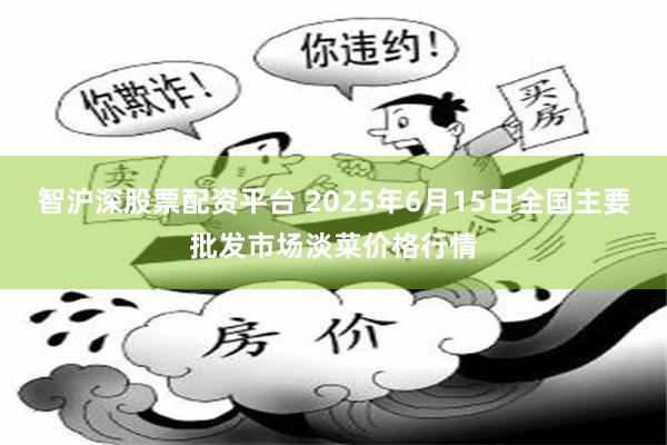智沪深股票配资平台 2025年6月15日全国主要批发市场淡菜价格行情