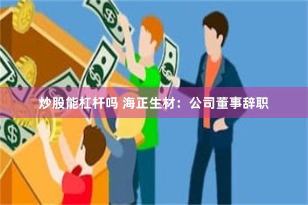 炒股能杠杆吗 海正生材：公司董事辞职