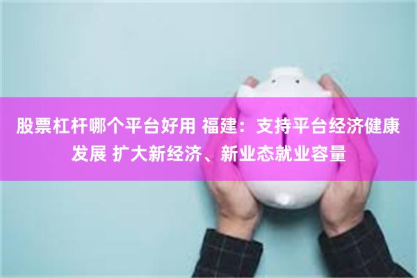 股票杠杆哪个平台好用 福建：支持平台经济健康发展 扩大新经济、新业态就业容量