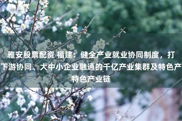 雅安股票配资 福建：健全产业就业协同制度，打造上下游协同、大中小企业融通的千亿产业集群及特色产业链