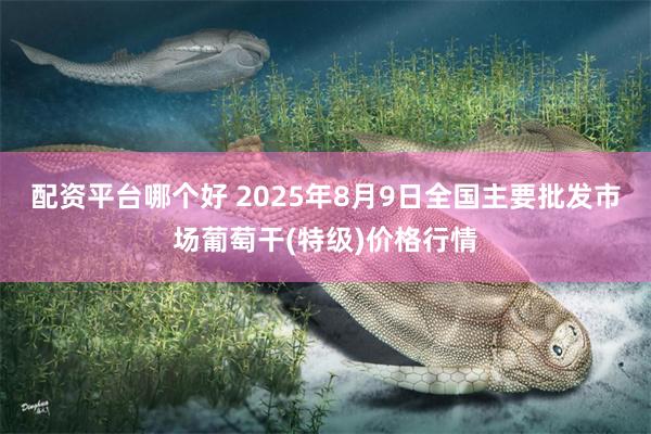 配资平台哪个好 2025年8月9日全国主要批发市场葡萄干(特级)价格行情